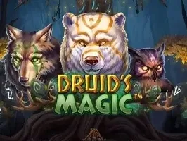 Druid's Magic screenshot